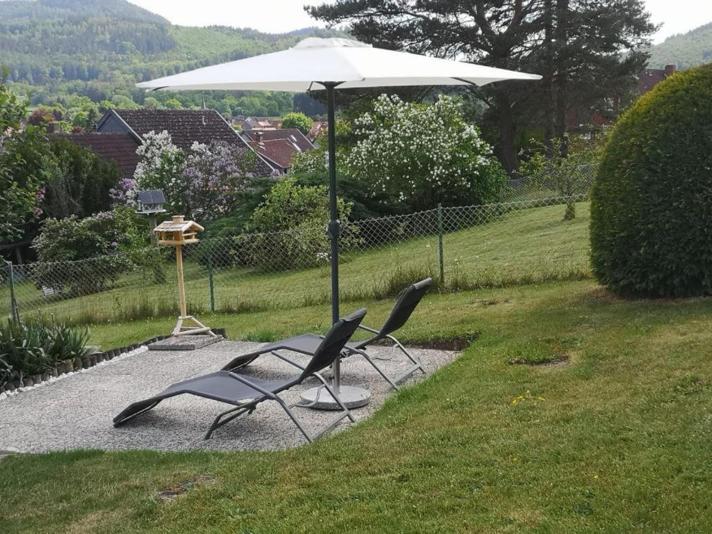 Casa Carlotta - Keine Monteure Villa Langelsheim Buitenkant foto